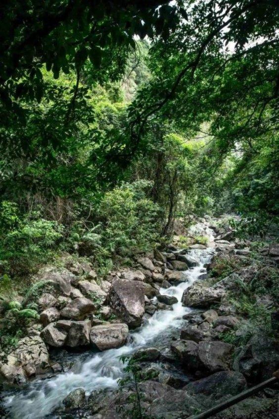 全面解答-重庆法制理论知识考试入口有问必答平台